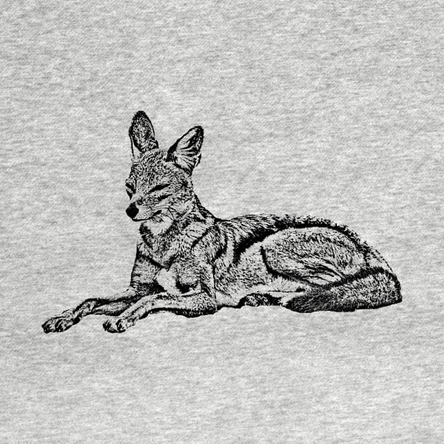 Jackal a wilddog in Kenya / Africa by T-SHIRTS UND MEHR